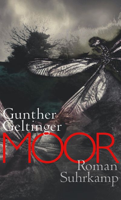 Buchcover Moor