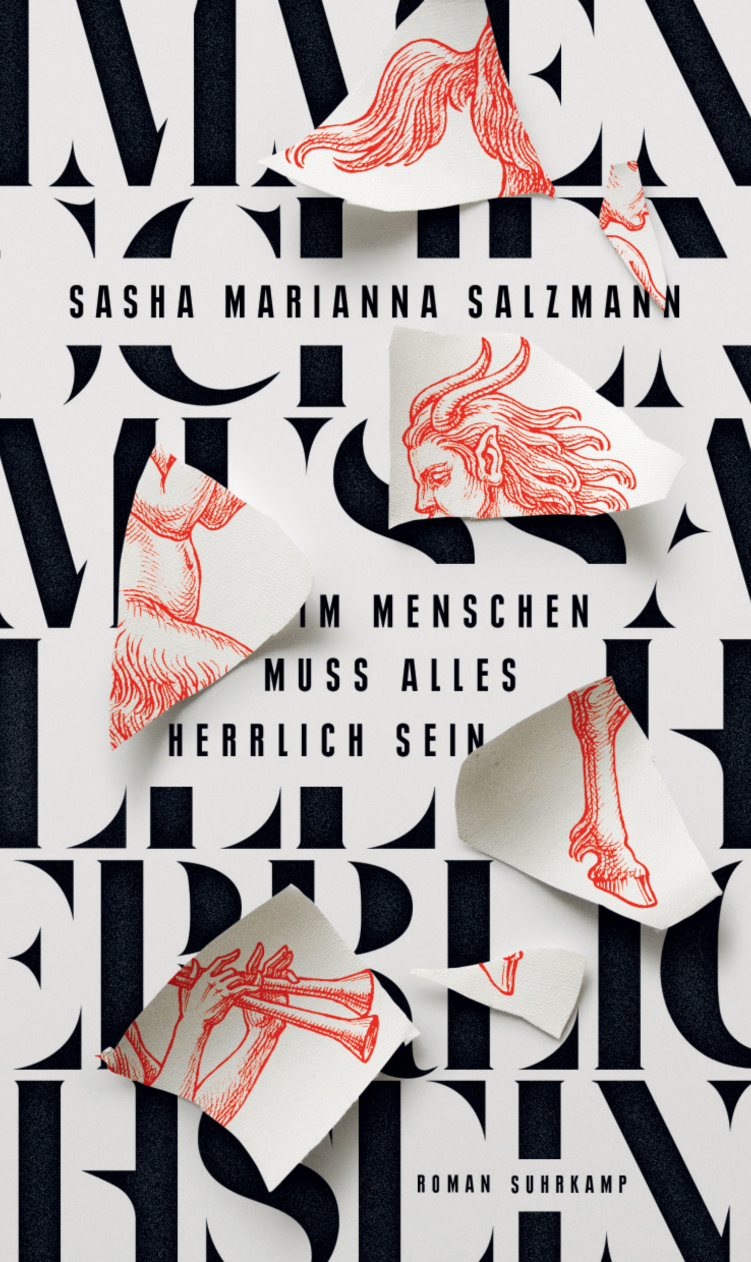 Buchcover Sasha Salzmann: Im Menschen muss alles herrlich sein