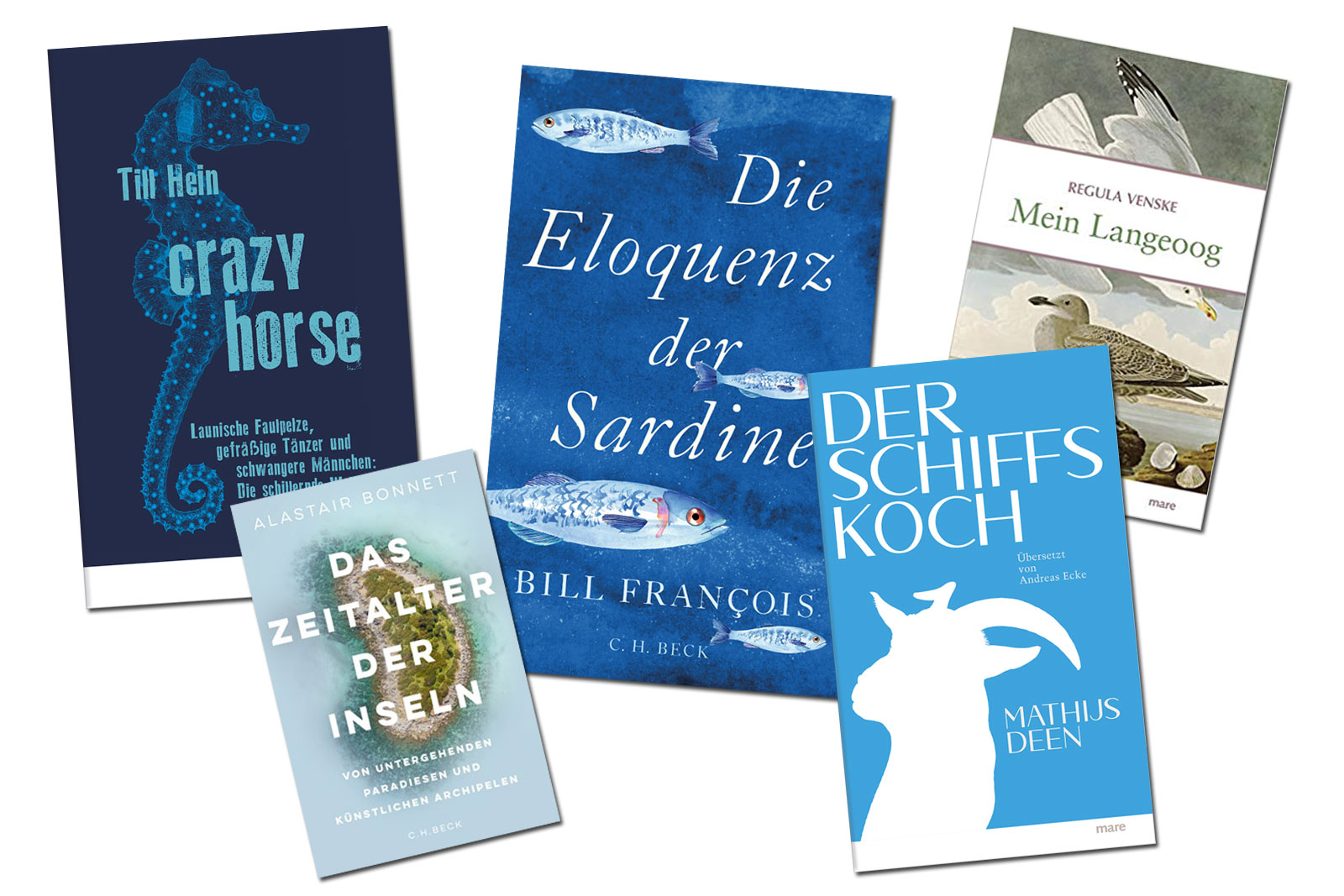 Bildcollage aus fünf Buchcovern zum Thema Wasser