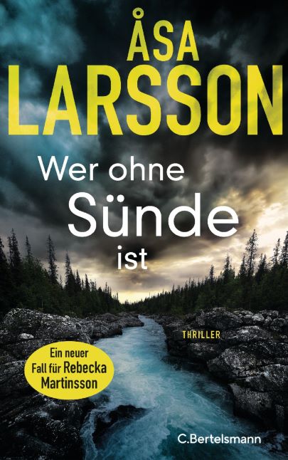 Buchcover Wer ohne Sünde ist