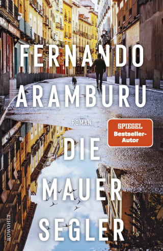 Cover des Buches "Die Mauersegler" von Fernando Aramburu