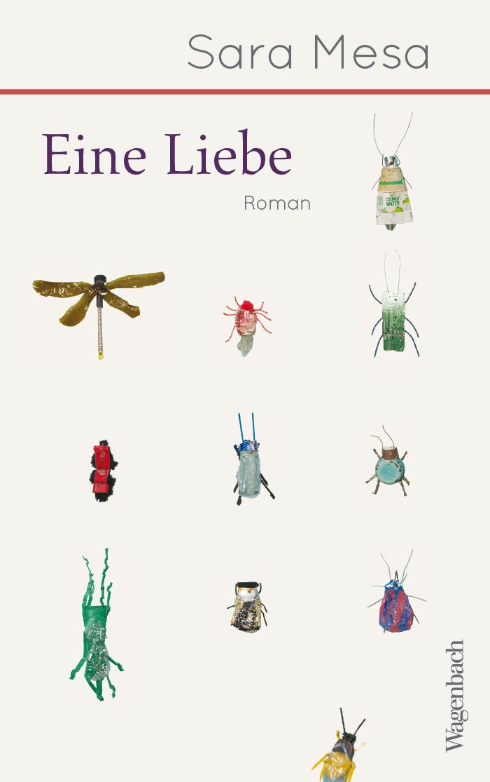 Cover des Buches "Eine Liebe" von Sara Mesa
