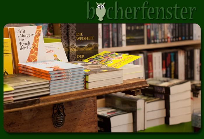 Logo des Findorffer Bücherfenster inklusive Bücher Bücher im Findorffer Bücherfenster