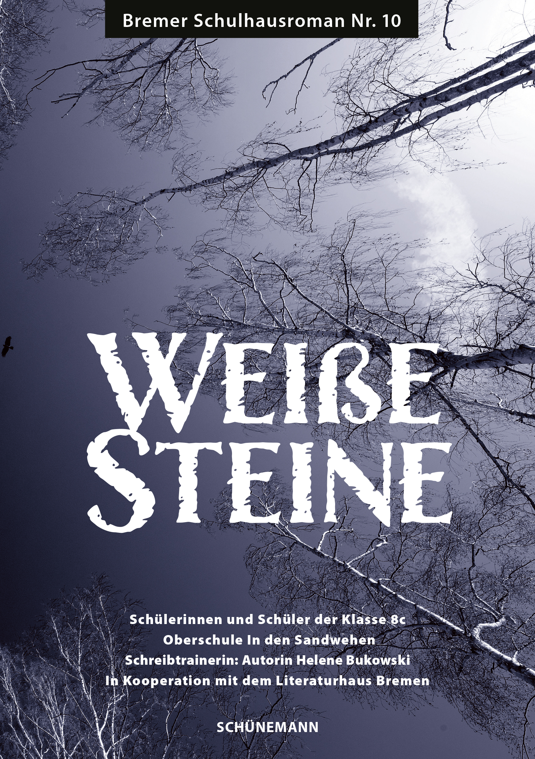 Cover des Bremer Schulhausromans "Weiße Steine"