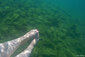 Füße mit roten Nägeln im Wasser