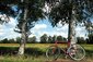 Ein rotes Fahrrad steht angelegt an einem Baum vor einem Feld.