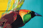 Ein Wandbild eines bunten Vogels.