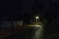 Eine Laterne beleuchtet einen Weg in der Nacht.