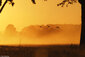Sonnenaufgang auf dem Land