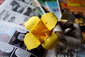 Blume auf Comicheften